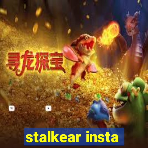 stalkear insta