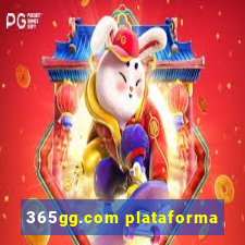 365gg.com plataforma