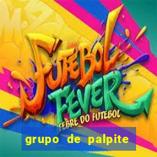 grupo de palpite de futebol telegram