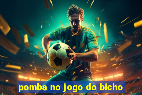 pomba no jogo do bicho