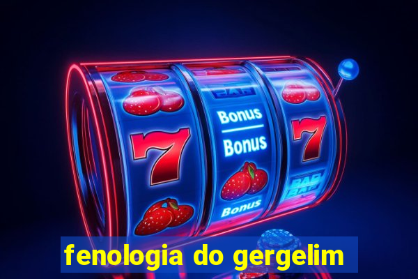 fenologia do gergelim