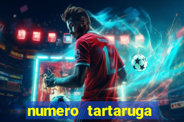 numero tartaruga jogo do bicho