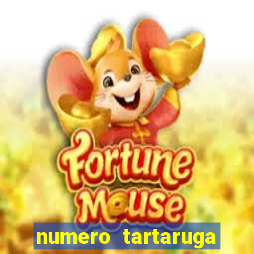 numero tartaruga jogo do bicho