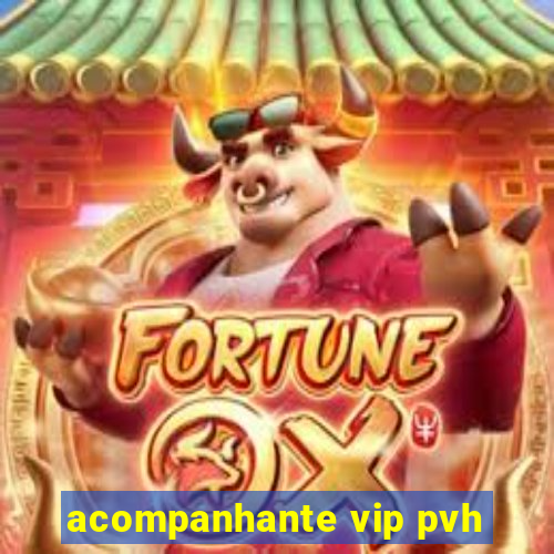 acompanhante vip pvh