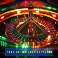 neca santos acompanhante