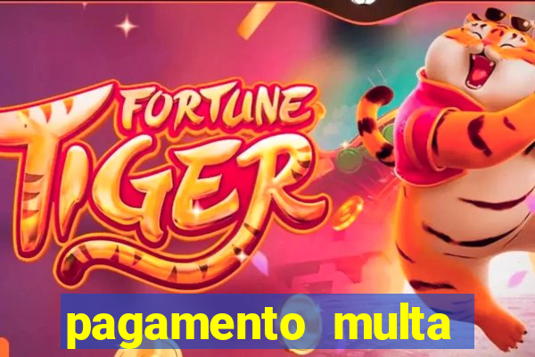 pagamento multa detran mg