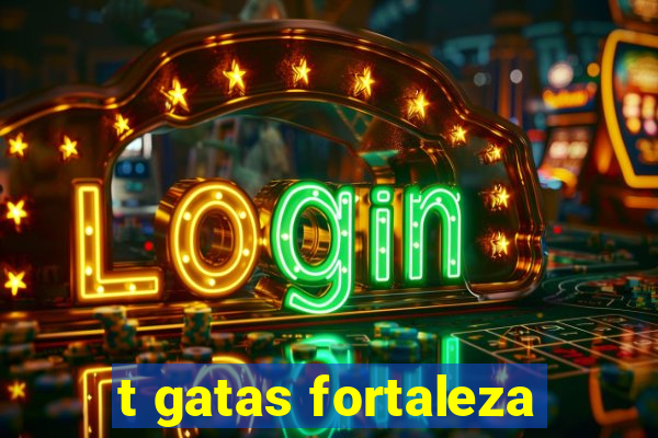 t gatas fortaleza