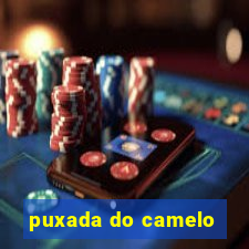 puxada do camelo