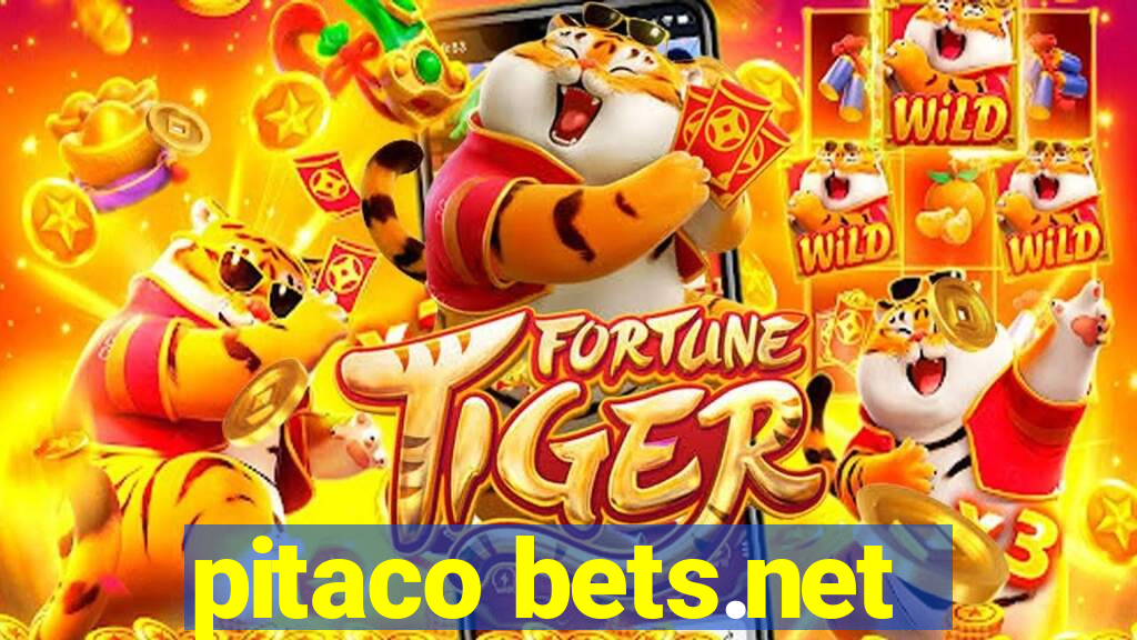 pitaco bets.net