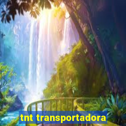 tnt transportadora