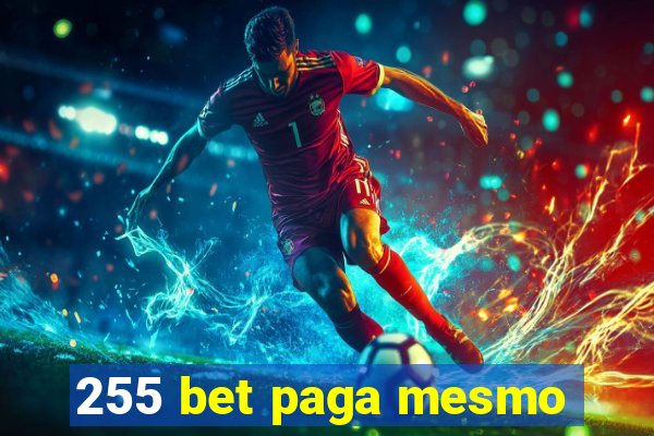 255 bet paga mesmo