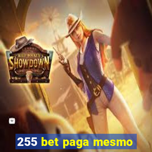 255 bet paga mesmo