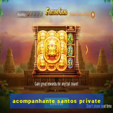 acompanhante santos private