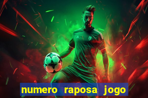 numero raposa jogo do bicho