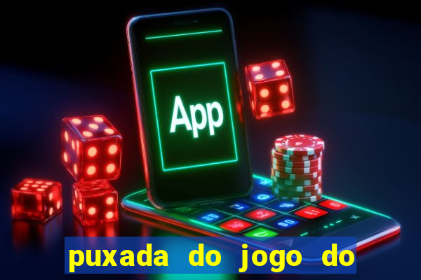 puxada do jogo do bicho da sueli