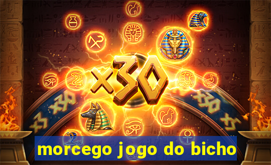 morcego jogo do bicho