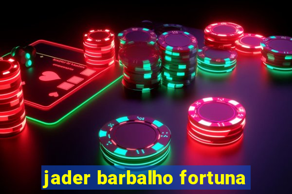 jader barbalho fortuna