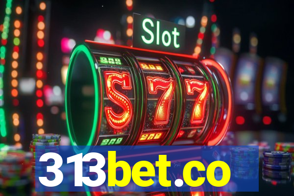 313bet.co