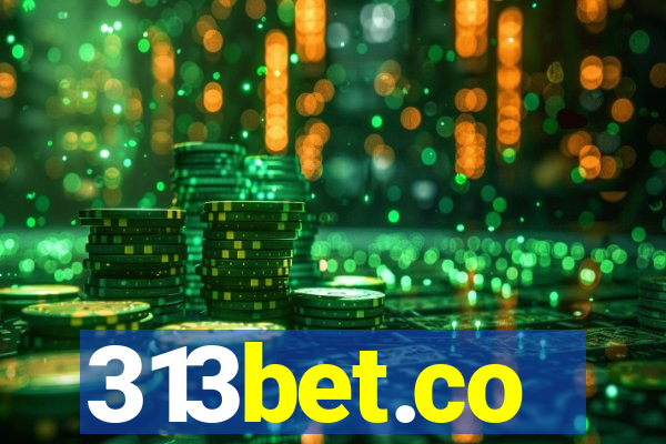 313bet.co