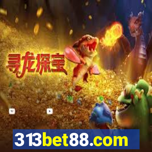 313bet88.com