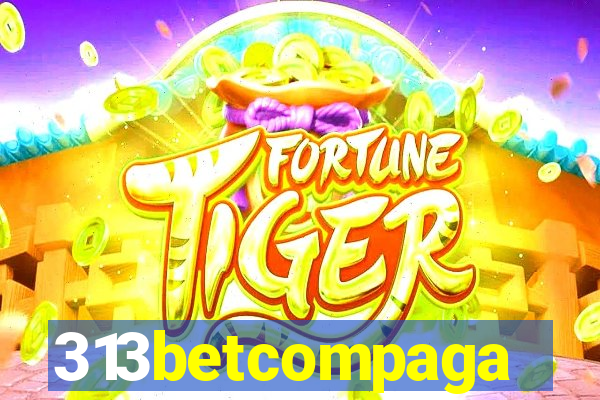 313betcompaga