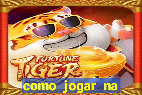 como jogar na seninha online