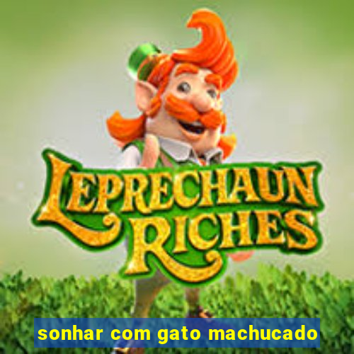 sonhar com gato machucado