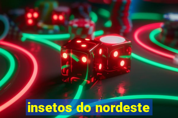 insetos do nordeste