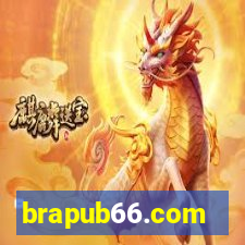 brapub66.com