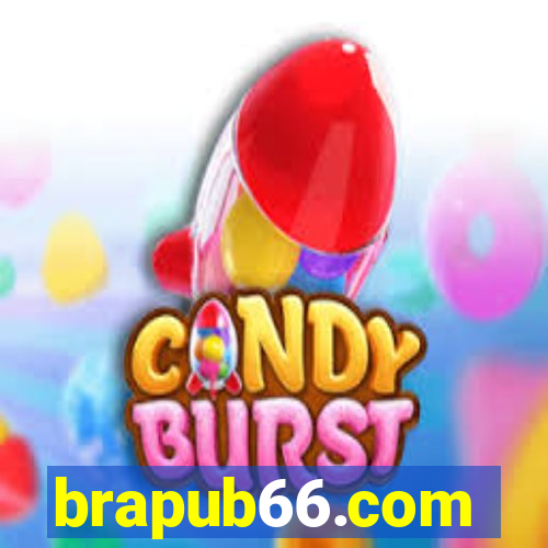 brapub66.com