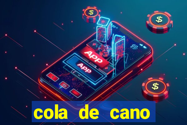 cola de cano quanto tempo para secar