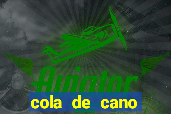 cola de cano quanto tempo para secar