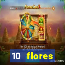 10 flores silvestres da regi o sudeste