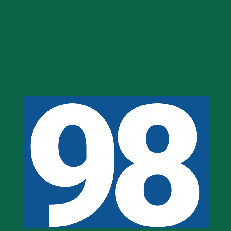 98-br.in