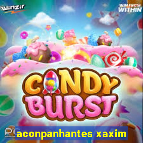 aconpanhantes xaxim