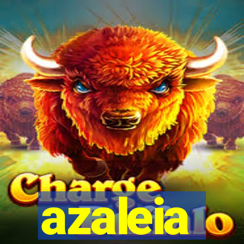 azaleia-br.com