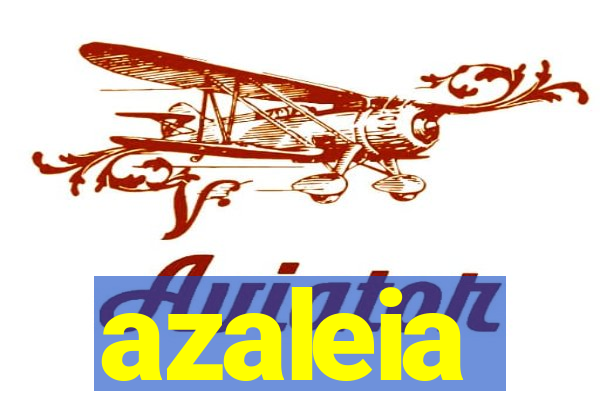 azaleia-br.com