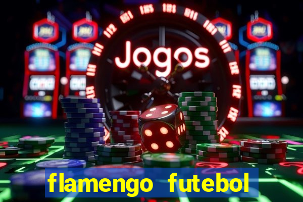 flamengo futebol play hd