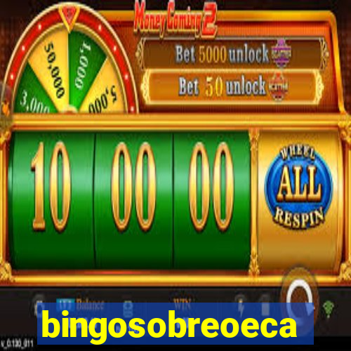 bingosobreoeca