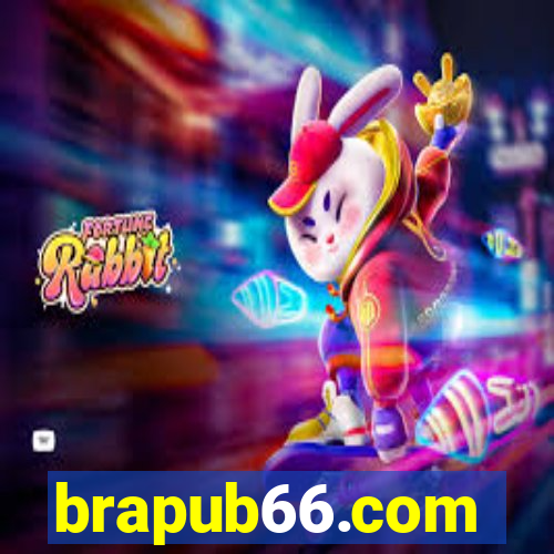 brapub66.com