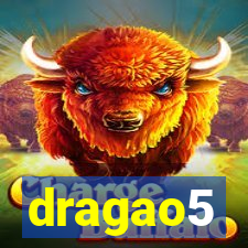 dragao5