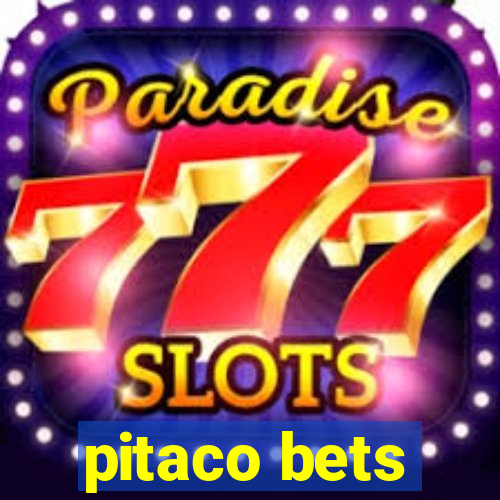 pitaco bets