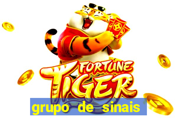 grupo de sinais trader telegram