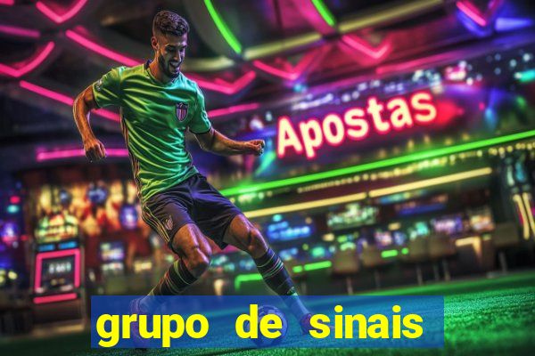 grupo de sinais trader telegram