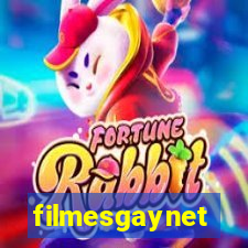 filmesgaynet