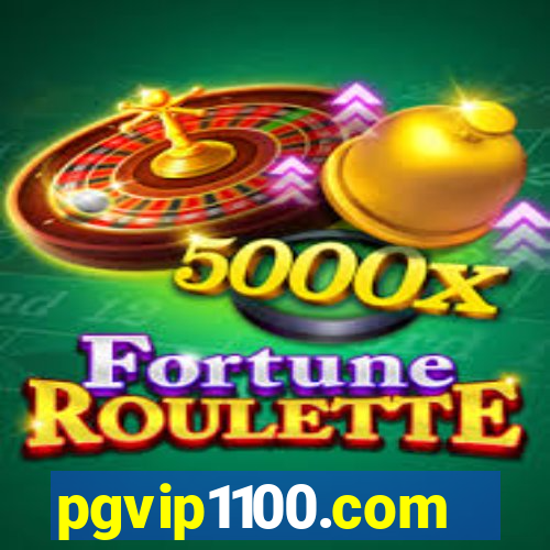 pgvip1100.com