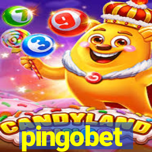 pingobet