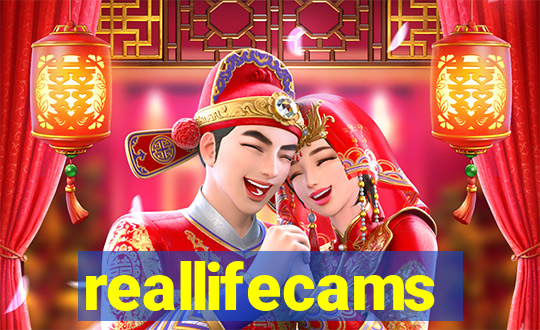 reallifecams