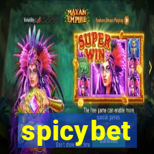 spicybet