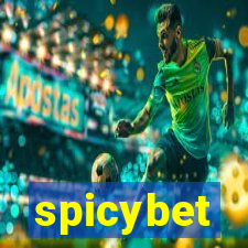 spicybet-3.com